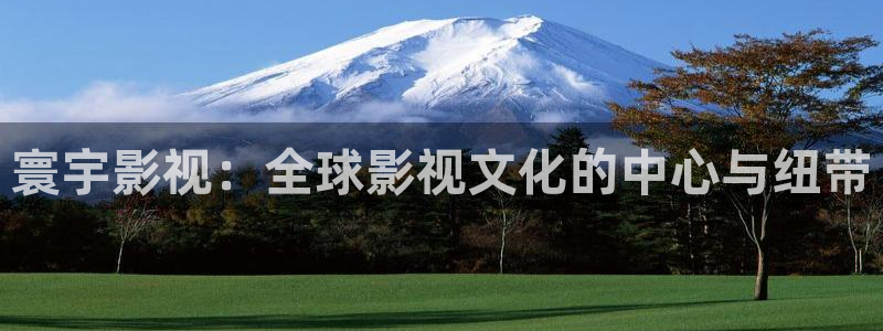 丝瓜着色视频大全：寰宇影视：全球影视文化的中心与纽带