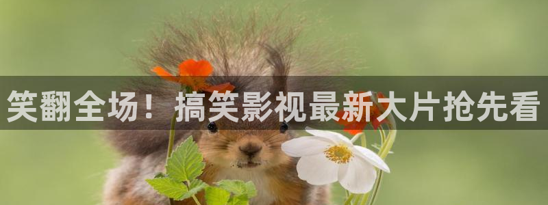 丝瓜视频性福宝下载：笑翻全场！搞笑影视最新大片抢先看