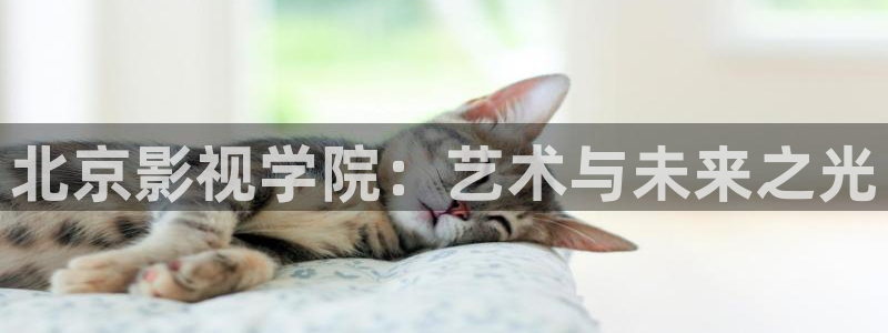 丝瓜视频1.3.0：北京影视学院：艺术与未来之光