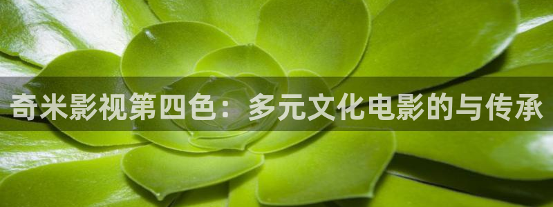 lutube丝瓜视频：奇米影视第四色：多元文化电影的与传承
