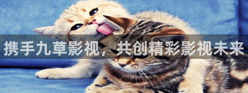 丝瓜视频在线观看完整版：携手九草影视，共创精彩影视未来