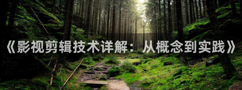 91丝瓜视频免费下载：《影视剪辑技术详解：从概念到实践》