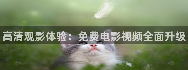 丝瓜视频亏网站：高清观影体验：免费电影视频全面升级