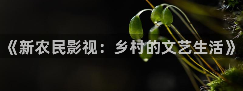 丝瓜视频swag