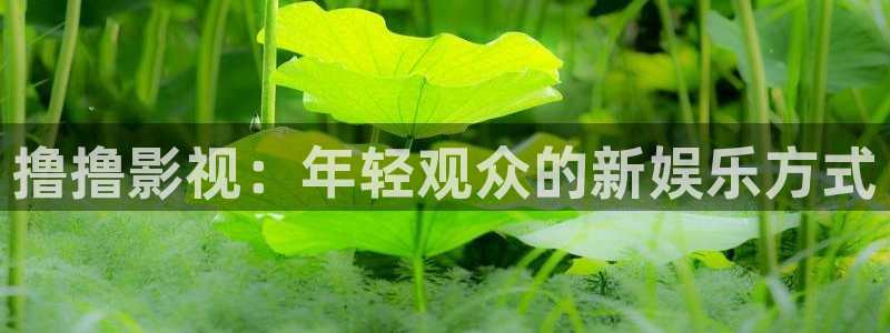 丝瓜视频ap：撸撸影视：年轻观众的新娱乐方式
