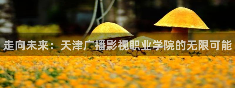 丝瓜视频性福网：走向未来：天津广播影视职业学院的无限可能